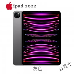 Apple iPad Pro 11英寸平板电脑 2022年款|灰色 | 银色