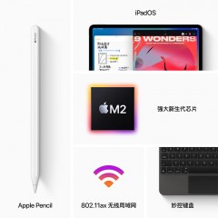 Apple iPad Pro 11英寸平板电脑 2022年款|灰色 | 银色