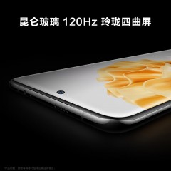 【新品】HUAWEI P60 Pro 8GB+256GB 羽砂黑 鸿蒙手机